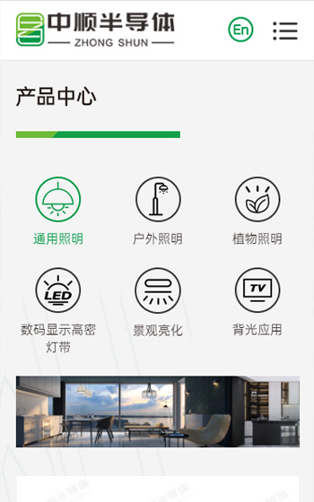 中順半導(dǎo)體照明網(wǎng)站案例圖片1